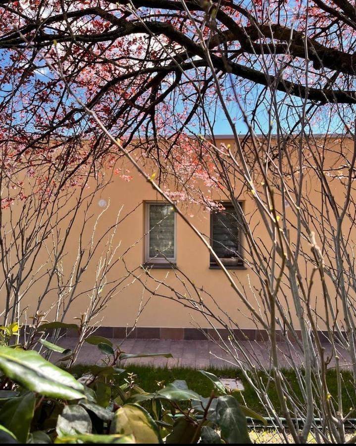 Pioppi Neri R&B Bed & Breakfast Felino Bagian luar foto