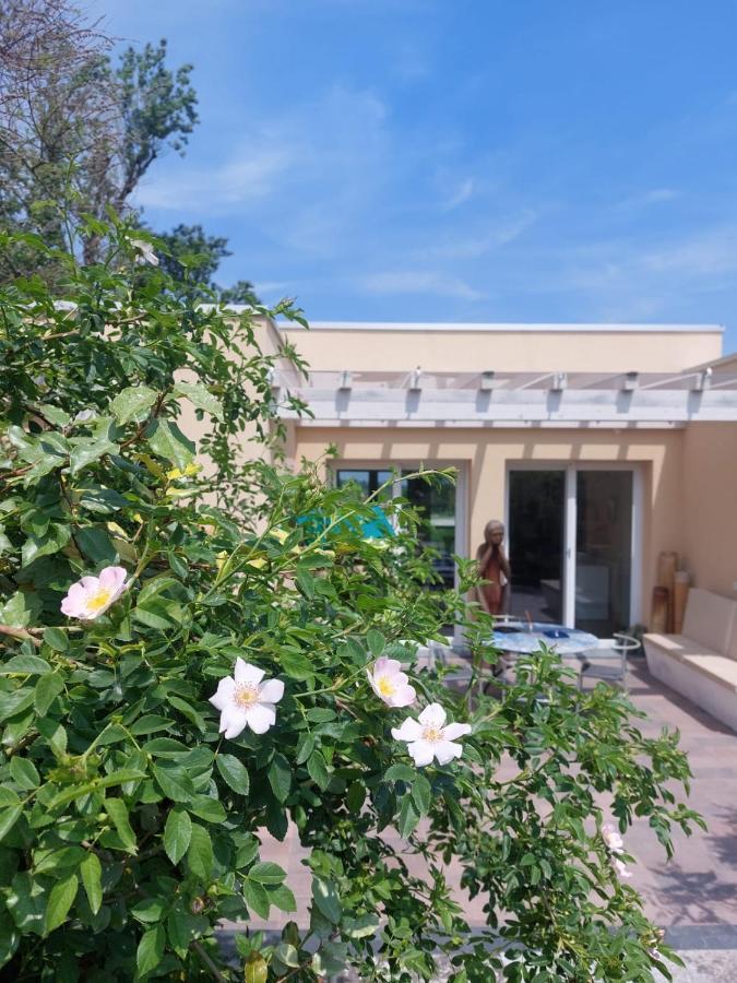 Pioppi Neri R&B Bed & Breakfast Felino Bagian luar foto